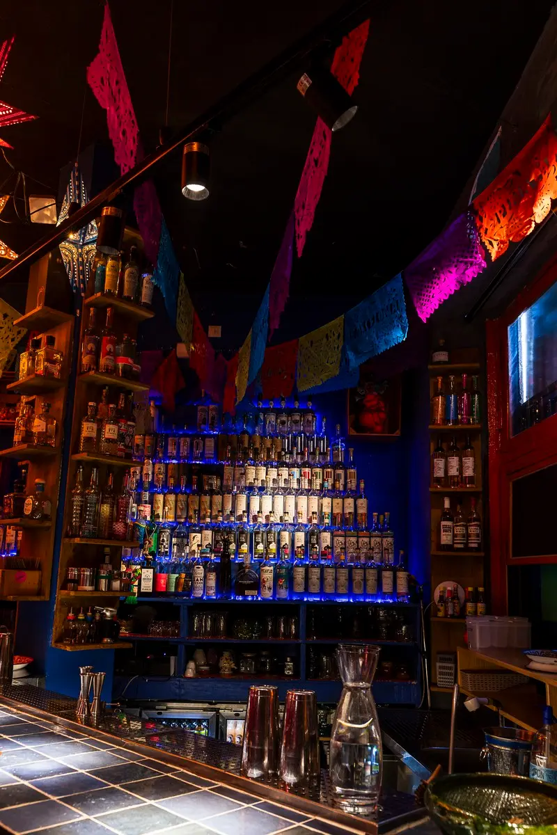 La barra de Piñata Cantina con su colección de agaves iluminada en azul